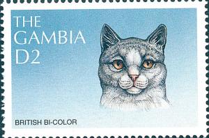 Colnect-3876-822-British-Bi-color-Felis-silvestris-catus.jpg