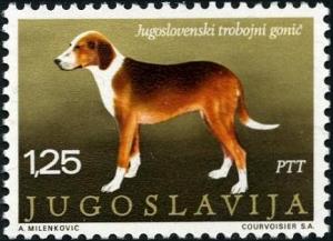 Colnect-4228-230-Yugoslavian-Three-colored-Hound-Canis-lupus-familiaris.jpg