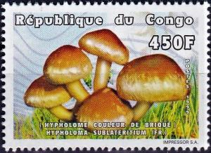 Colnect-5496-925-Hypholoma-sublateritium.jpg