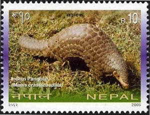 Colnect-550-648-Indian-Pangolin-Manis-crassicaudata-.jpg