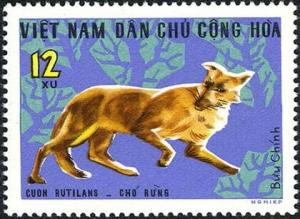 Colnect-5504-278-Dhole-Cuon-rutilans.jpg