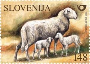 Farm-animals---Sol%C4%8Dava-Sheep-.jpg