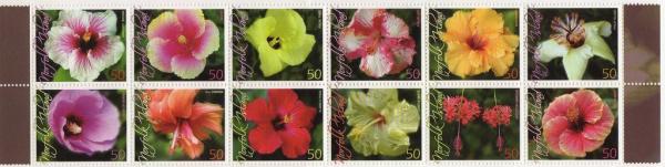 Colnect-4083-885-Norfolk-Island-Hibiscus.jpg