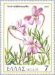 Colnect-174-042--quot-Viola-delphinantha-quot-.jpg