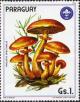 Colnect-2063-996-Pholiota-spectabilis.jpg