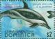 Colnect-3281-485-Pantropical-Spotted-Dolphin-Stenella-attenuata-ssp-graffma.jpg