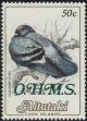 Colnect-3873-085-Rock-Pigeon-Columba-livia-overprinted-OHMS.jpg