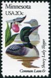 Colnect-5097-022-Minnesota---Common-Loon-Showy-Lady-Slipper.jpg