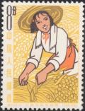 Colnect-951-539-Woman-harvesting.jpg