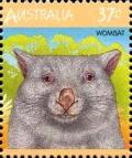 Colnect-952-058-Common-Wombat-Vombatus-ursinus.jpg