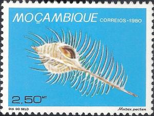 Colnect-1116-444-Venus-Comb-Murex-Murex-pecten.jpg