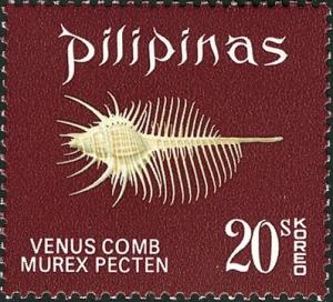 Colnect-2247-998-Venus-Comb-Murex-Murex-pecten.jpg