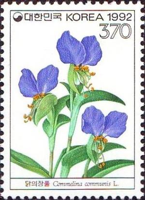 Colnect-2744-466-Commelina-communis.jpg