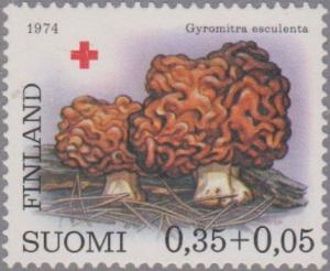 Colnect-2908-198-False-Morel-Gyromitra-esculenta---Normal-paper.jpg