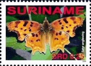 Colnect-3488-006-Satyr-Comma-Polygonia-satyrus.jpg