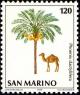 Colnect-1394-547-Dromedary-Camelus-dromedarius-Date-Palm-Phoenix-dactylif.jpg