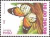 Colnect-1126-663-African-Monarch-Danaus-chrysippus.jpg