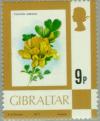 Colnect-120-277-Shrubby-scorpion-vetch-Coronilla-valentina.jpg