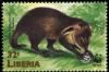 Colnect-1641-814-Liberian-Mongoose-Liberiictis-kuhni.jpg