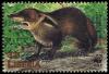 Colnect-1641-815-Liberian-Mongoose-Liberiictis-kuhni.jpg