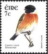 Colnect-1902-351-Common-Stonechat-Saxicola-torquata.jpg