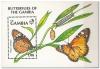 Colnect-1975-632-African-Monarch-Danaus-chrysippus.jpg