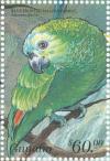 Colnect-3742-920-Turquoise-fronted-Amazon-Amazona-aestiva.jpg