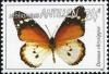 Colnect-966-952-African-Monarch-Danaus-chrysippus.jpg