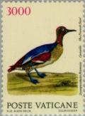 Colnect-151-505-Common-Teal-Anas-crecca.jpg