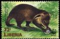 Colnect-1641-814-Liberian-Mongoose-Liberiictis-kuhni.jpg