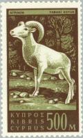 Colnect-170-360-Cyprus-Mouflon-Ovis-musimon-orientalis-.jpg