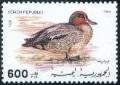 Colnect-1939-425-Common-Teal-Anas-crecca.jpg