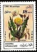 Colnect-2110-701-Dandelion-Taraxacum-officinale.jpg