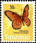 Colnect-5319-781-African-Monarch-Danaus-chrysippus.jpg