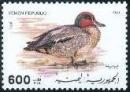 Colnect-1939-425-Common-Teal-Anas-crecca.jpg