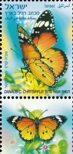 Colnect-774-463-African-Monarch-Danaus-chrysippus.jpg