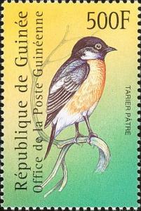 Colnect-3804-314-Common-Stonechat-Saxicola-torquata.jpg