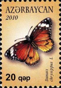 Colnect-1604-562-African-Monarch-Danaus-chrysippus.jpg