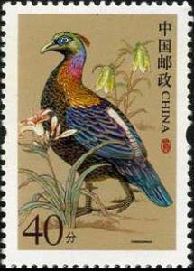 Colnect-1772-897-Chinese-Monal-Lophophorus-lhuysii.jpg