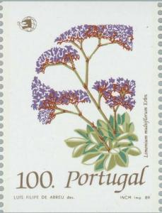 Colnect-177-490-Limonium-multiflorum.jpg