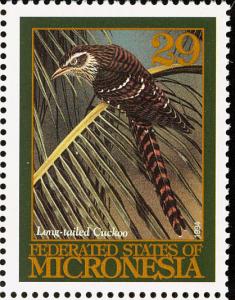 Colnect-1620-549-Long-tailed-Cuckoo.jpg