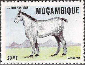 Colnect-1119-702-Percheron-Equus-ferus-caballus.jpg