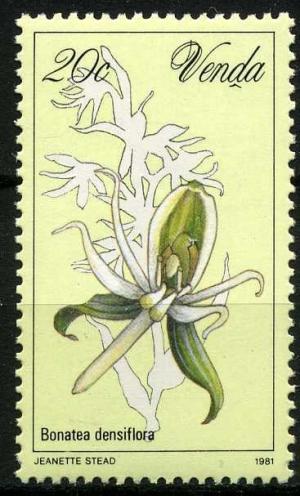 Colnect-1401-791-Bonatea-densiflora.jpg