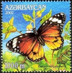 Colnect-1603-493-African-Monarch-Danaus-chrysippus.jpg