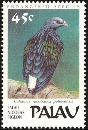 Colnect-1637-999-Palau-Nicobar-Pigeon-Caloenas-nicobarica-pelewensis-.jpg