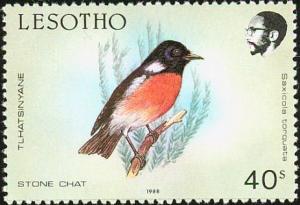 Colnect-1724-596-Common-Stonechat-Saxicola-torquata.jpg