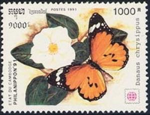 Colnect-2106-679-African-Monarch-Danaus-chrysippus.jpg