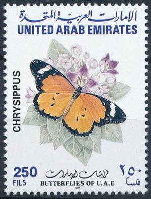 Colnect-2134-414-African-Monarch-Danaus-chrysippus.jpg