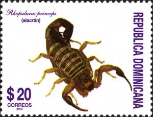 Colnect-2908-716-Scorpion-Rhopalurus-princeps.jpg