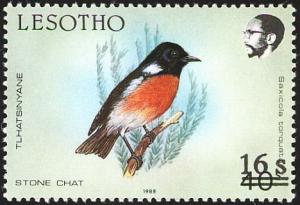 Colnect-3006-038-Common-Stonechat-Saxicola-torquata.jpg